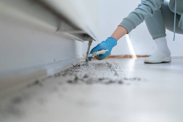 Best Cockroach Control Services  in Lake Heritage, PA